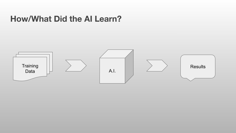 infographic titled "How/What Did the AI Learn?" with boxes labeled Training Data -> AI -> Results